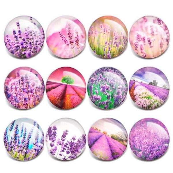 

10pcs/lot new mixed snap jewelry ladybug theme glass charms 18mm snap button jewelry for 18mm snaps bracel jlloin