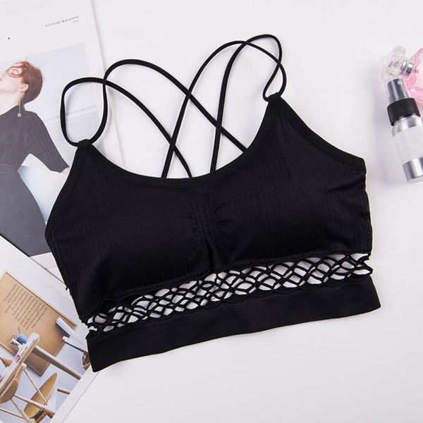 

crochet jacket bra kami cropped fashion women's underwear cutout seamless vest kg-959, Red;black