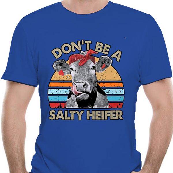 

dont be a salty heifer cows lover gift vintage farm cattle humorous hoodie designers t shirts sweatshirt