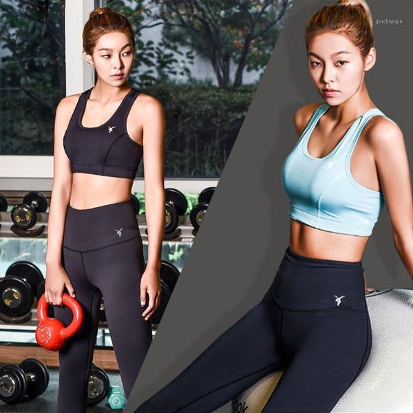 

yoga outfits [akiii classic] famous korea fitness brand leggings high waist pants-made in korea1, White;red