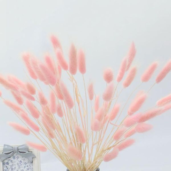 

30pcs tail grass dried flowers bouquets gradient lagurus ovatus flower bouquet wedding home decor