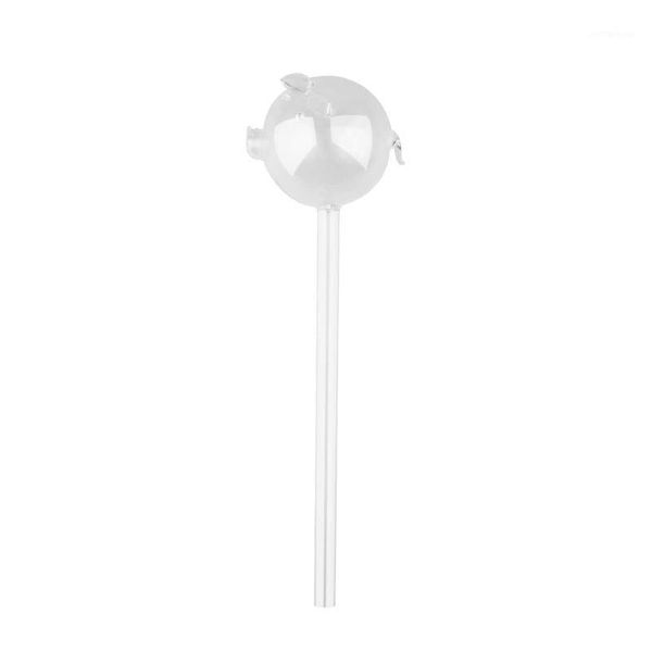 

watering equipments glass self-watering globes, cute pig plant waterer bulbs clear aq x4ye1