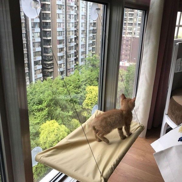 

cat beds & furniture hammock bed basking window mounted sofa mat lounger perch cushion hanging shelf seat with suction cup