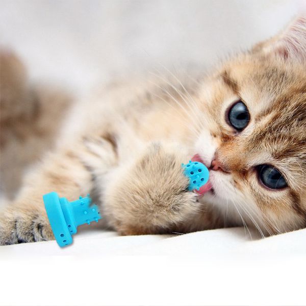 Kaktüs Komik Toptan Pet Yumuşak Silikon Nane Balık Kedi Çiğnenebilir Oyuncak Catnip Oyuncak Temiz Diş Diş Fırçası Çiğnemek Kediler Temizleme Diş Fırçası Oyuncaklar