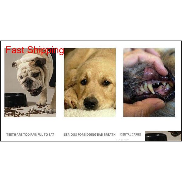 

pets supplies dog cat toys soft finger brush dog toothbrush bad breath dental care tartar pet dog cat cleani qylaun tore2010