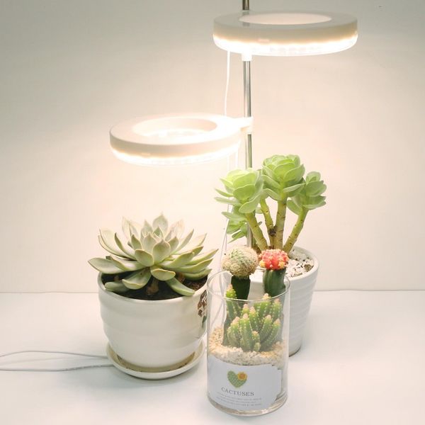 

usb 5v timer full spectrum led grow light for indoor plants home growth vegetables succulents
