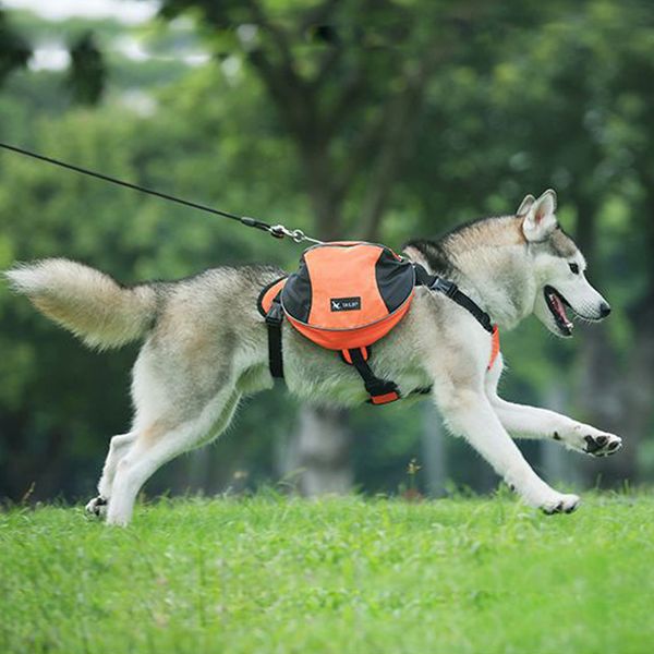 

k9 big harness, outdoor pet vest, dog accessories, backpack conveyor, py0025