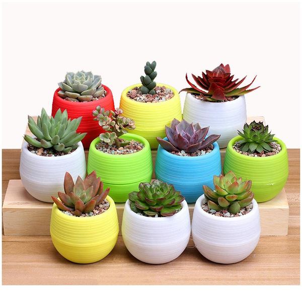 

colorful mini round plastic plants for garden home office decoration decor planter deskflower pots decor flower fl bbypmw