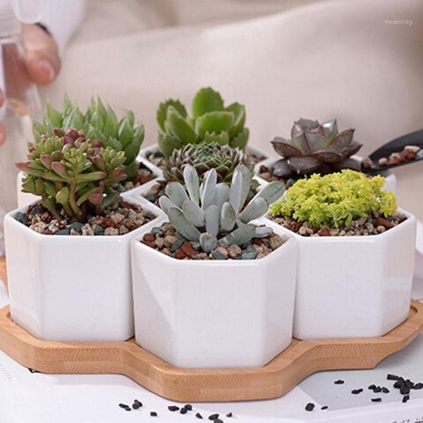 

new hexagonal ceramic succulent plant flower pot garden planter bamboo tray holder1