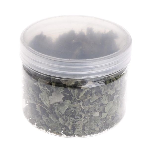 

cat toys 2021 natural silvervine leaves catnip dried polygonum matatabi flavor