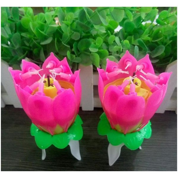 

lotus music candle lotus singing birthday party cake music flash candle flower music candle cake accessories holi jllhpu lajiaoyard