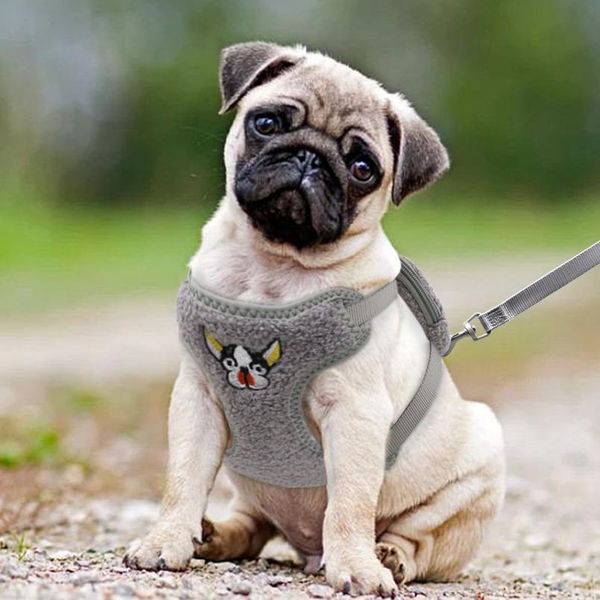

cute pet dog harness lesah set no pull mesh chihuahua puppy cat harness vest adjustable for small medium dogs french bul wmtuuv