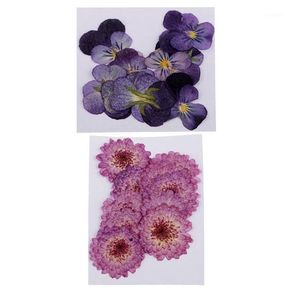 

22pcs pressed real daisy pansy dried flowers diy floral decor embellishment1