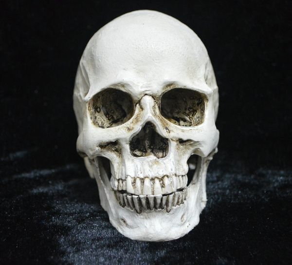 

futcu halloween creative halloween apart creative separation decorations small resin skull head horror can skull head teeth simulation be se