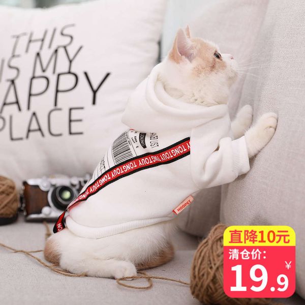 

british short hairls warm lovely pet cat autumn thickened kitten winter cloth