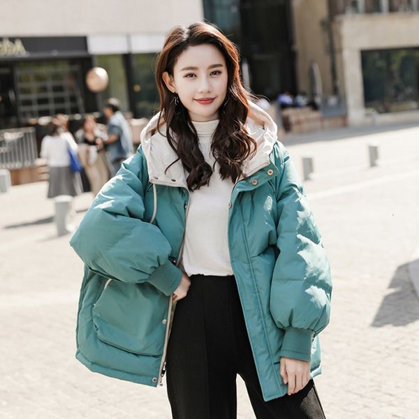 

2019 new coat, women's cotton with hoodie, thick pascal for women, heating, sole, winter snow coat