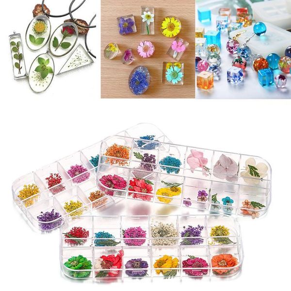 

1 box daffodil daisy real dried flower plant uv sile molds eternal preserved flowers for diy epoxy resin mold jewelr qylmml