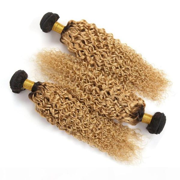 

strawberry blonde ombre brazilian virgin human hair bundles deals 3pcs lot kinky curly 1b 27 honey blonde ombre human hair weaves dark root, Black;brown