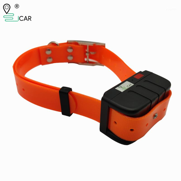 

car gps & accessories smart waterproof ip67 hunting dog agps lbs tracking tracker collar for positioning1