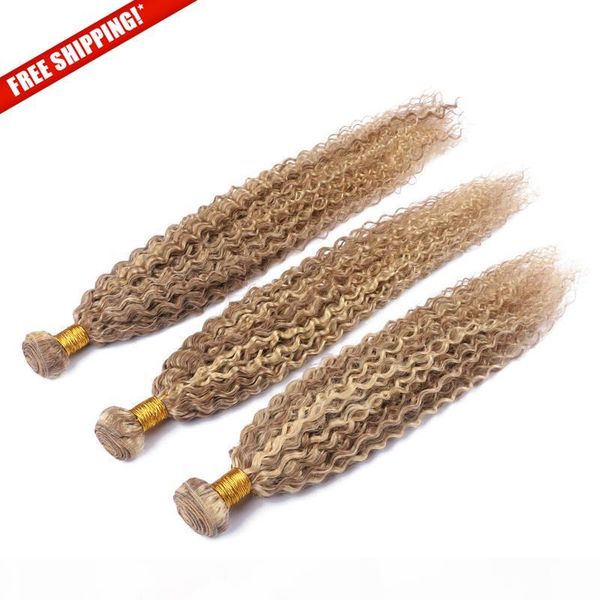 

remy virgin mongolian kinky curly hair weft 24inch 27 613 ombre color virgin human hair extensions, Black