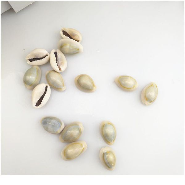 

happykiss 500g gray natural sea shells loose beads accessories diy conch ornament home fish tank decor phnom pe qylmdr