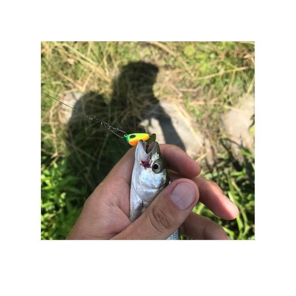 

1pcs 20mm-35mm metal mini vib fishing lure 6g-22g winter ice fishing tackle pin crankbait vibration spinner sink qyluyv