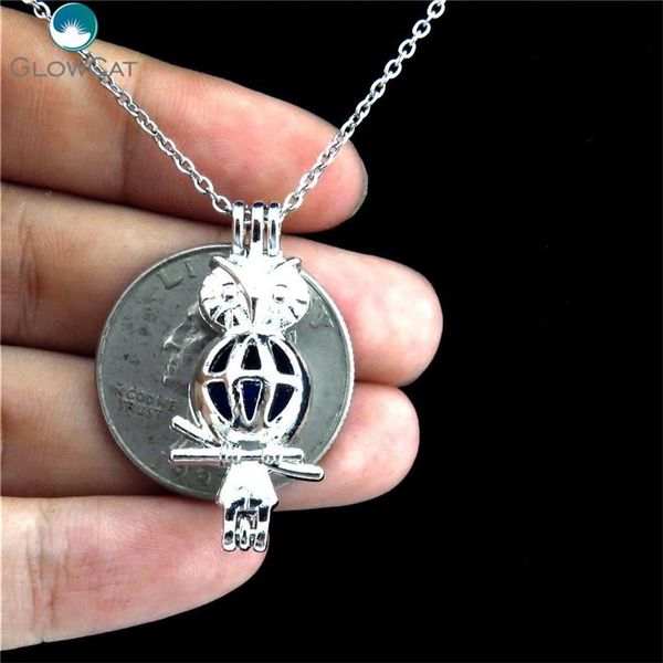 

k204 silver animal long медальон ожерелье камень бисера сова кейдж нержавеющей rolo цепи аромат эфирное масло диффузор locket sqcpkf homes20, Black