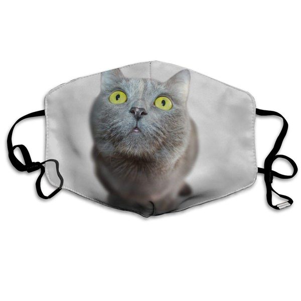 

print mouth mask - cute cat polyester anti-dust mouth-muffle - fashion washed reusable face masks for outdoor cycling