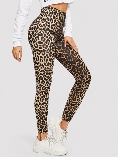 

high-rise leopard print leggings 51vl#, Black