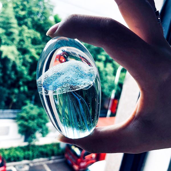 

3d laser fish jellyfish inlay crystal glass art ocean gift wedding express gift home decoration paperweight centerpiece h wmtwxv