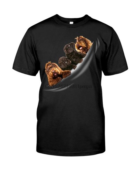 

sport men t shirt barbet - torn 4(10) women tshirts