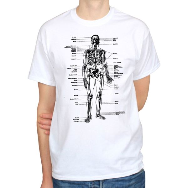 

2020 100% cotton labeled skeleton anatomy biology science art vintage hipster mens hoodie designers t shirts sweatshirt
