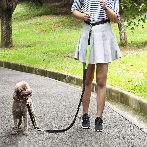 

outdoor bags dogs hands leash running jogging lead elasticity hand bag harness collar y adjustable waist rope belt1