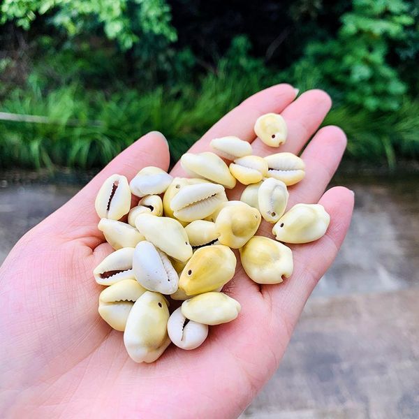 

20pcs 1.4 2.2cm natural shell conch beads seashells diy jewelry accessories earring bracelet necklace fashion bohemian jewelry h jllnam