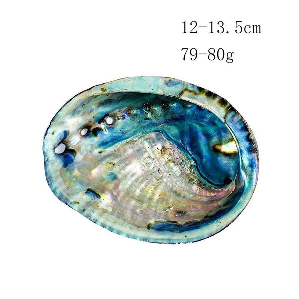 

12 13cm large abalone shell natural seashell nautical home decor soap holder specimen beach wedding decor aquarium landscape h wmtgyx