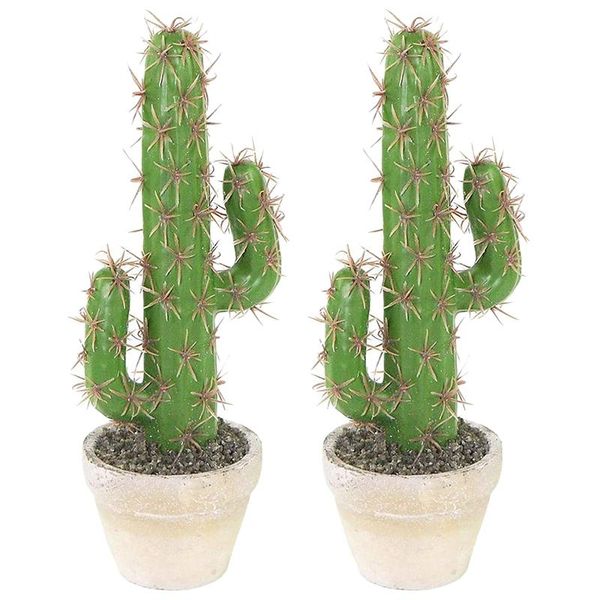 

2pcs artificial plastic cactus succulents prickly pear potted plant simulation home office deskdecoration