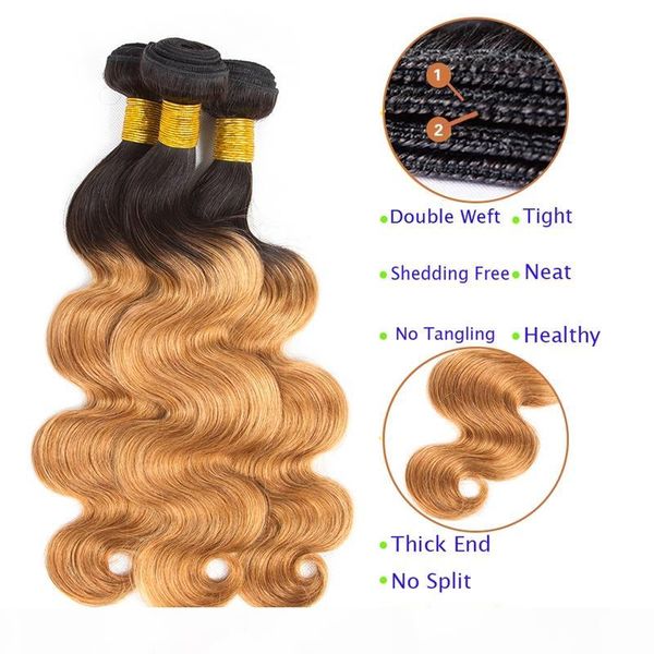 

pre-colored raw indian hair 3 bundles 1b 27 ombre t1b 99j body wave human hair weaves bundles with closure t1b 30 t1b bug, Black
