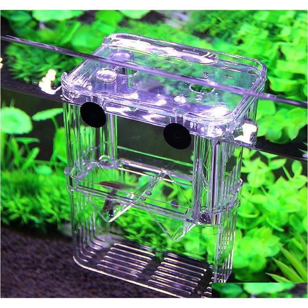 

aquarium fish breeding box pet fish tank guppy double breeding breeder rearing hatchery splits fish tank tur qylkdl toys2010