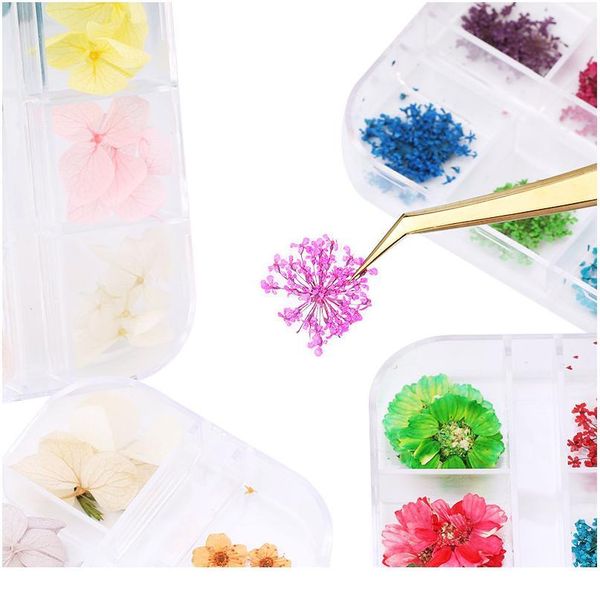 

1 box real dried flowers pressed flowers dry plants for epoxy resin pendant necklace epoxy resin supplies craft diy acc jllgor, Black;white