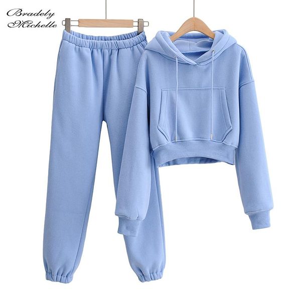 

two piece sets matching outfits for winter women brushed tracksuit hooded pockets high elastic waist solid harem pants, Gray