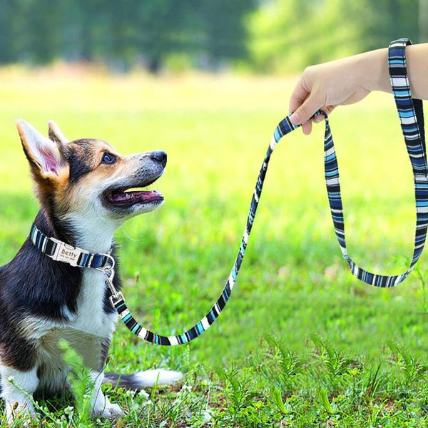 

6 colors dog leash lead nylon printed pet puppy walking leash mesh padded running training leashes rope for small med sqcxsw
