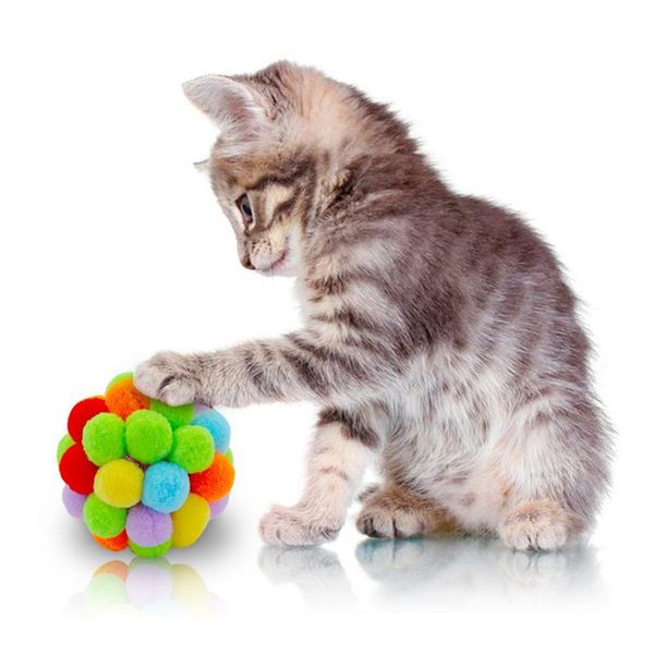 

interactive cat toy funny pet kitten chewing play ball toy catnip scratch bell toys cat mint for cats cat supply pet bbygfu