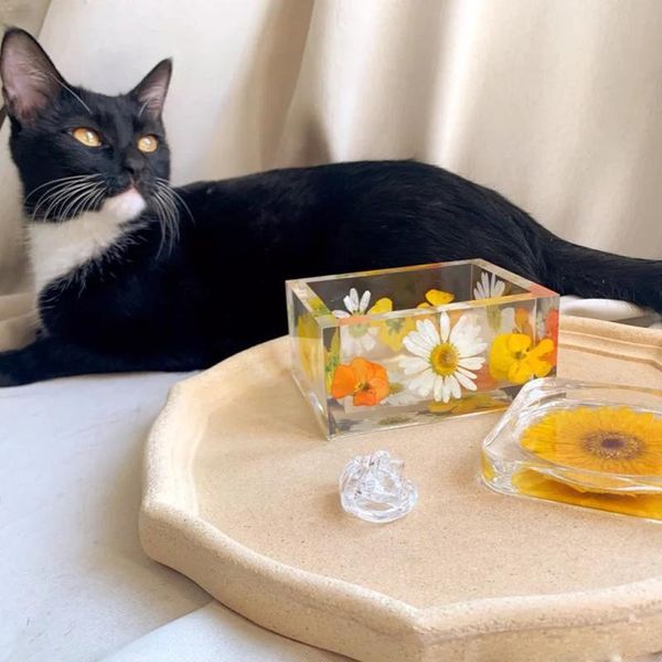 

1box daisy real dried flower dried plant for aromatherapy candle epoxy resin molds nail art decals diy jewelry making qylrdt