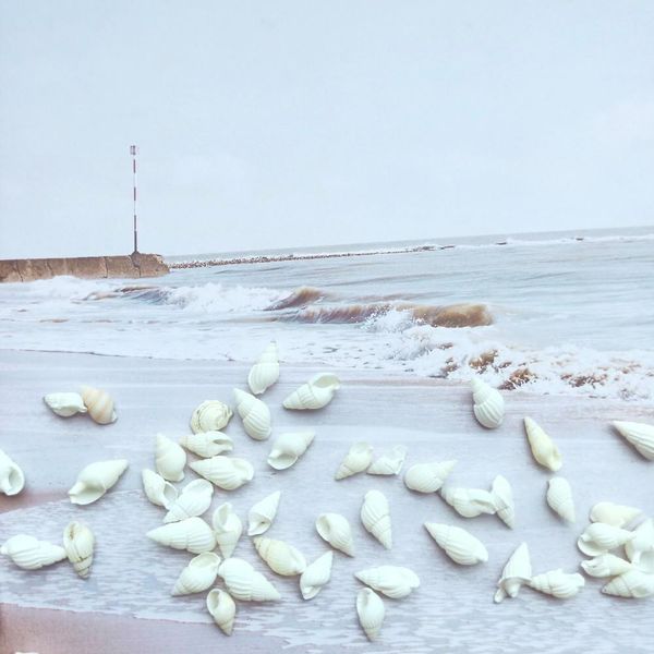 

100pcs natural snail shell aquarium decoration mini white conch seashell diy crafts for party beach wedding home decor nautical h jllklm