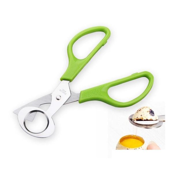 

stainless steel pigeon quail egg shells scissors bird cutter opener egg slicers cigar cutter kitche jllxpo network2010