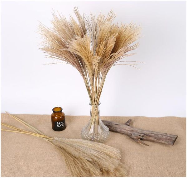 

10 pcs natural dried pampas grass phragmites communis for wedding dried flower bunch home decor diy craft dry flowers de bbyzbw