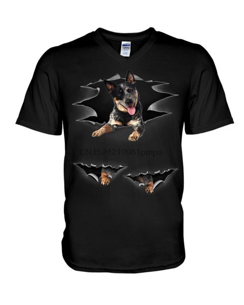 

sport men t shirt australian cattle dog - torn(8) women tshirts