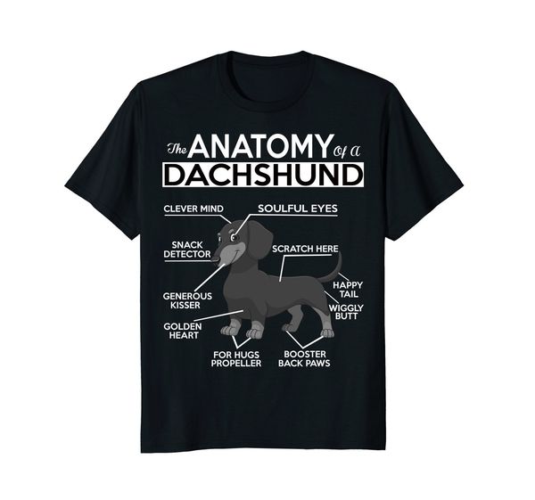

new short sleeve casual anatomy of a dachshund tshirt man t shirt good quality sport hooded sweatshirt hoodie