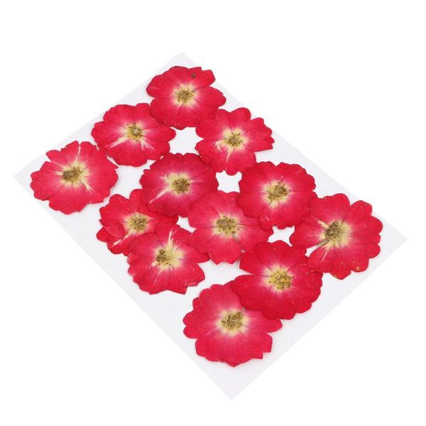 

12pcs dried pressed flowers diy resin craft nail art decor natural dried rose