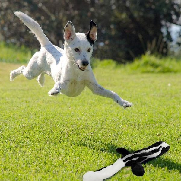 

cute plush dog toys squeak dog toy chew pet animal plush toys for dogs playing training teeth cleaning pet bbyqez